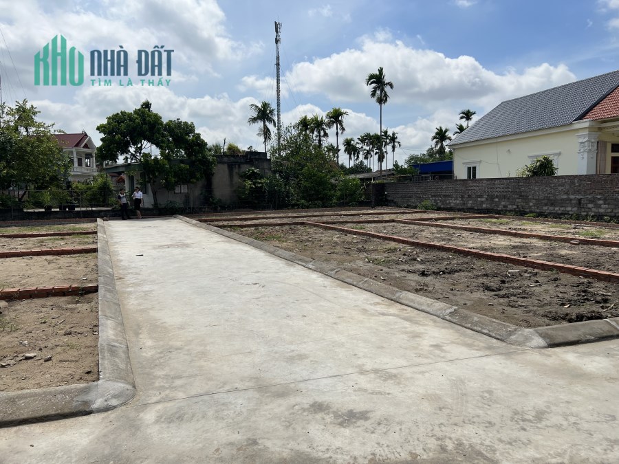 Bán đất phân lô chính chủ giá rẻ như cho chỉ có ở quang hưng an lão