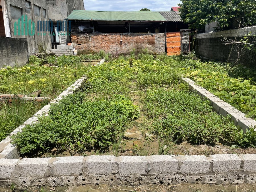 đất 149m tân ước
