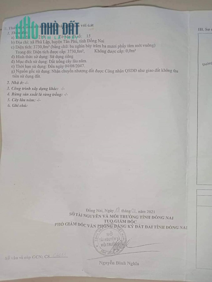 Chính Chủ Bán 4 Sào Đất Trồng Bưởi Da Xanh Đang Thu Hoạch huyện Tân Phú, Đồng Nai.