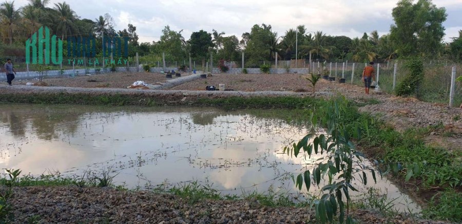 CHÍNH CHỦ BÁN 1200M2 ĐẤT GIÁ TỐT MT NHÁNH VĂN TIẾN DŨNG