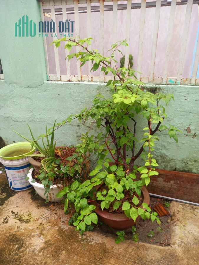 Bán đất tặng nhà cấp 4 diện tích khùng Hoà Cường Bắc hải Châu