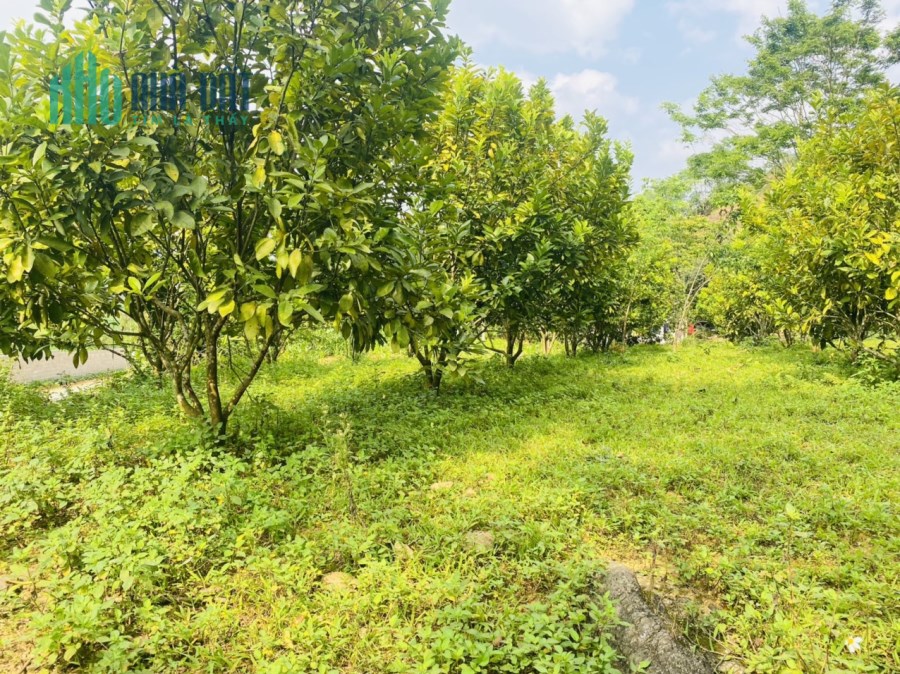 BÁN LÔ ĐẤT TRỤC CHÍNH ĐI KDL SUỐI HOA TẠI HÒA BÌNH  GIÁ NÉT 850 TRIỆU 1154M 250M ONT VIEW ĐẸP, BÁM