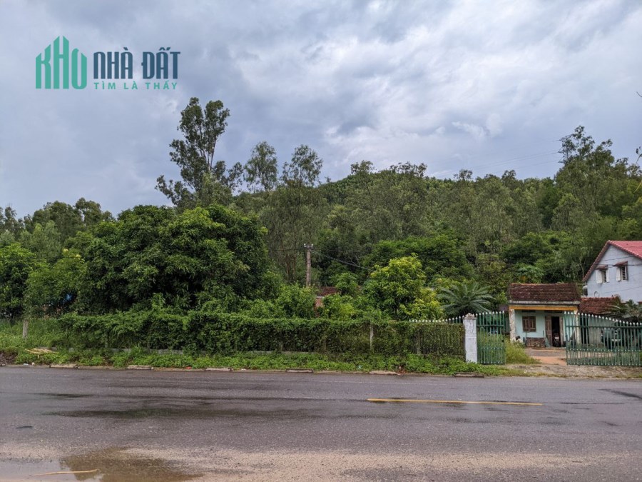 CHÍNH CHỦ CẦN BÁN  Đất Mặt Tiền QL 19 - Vị Trí Đắc Địa Tại TÂY SƠN- BÌNH ĐỊNH