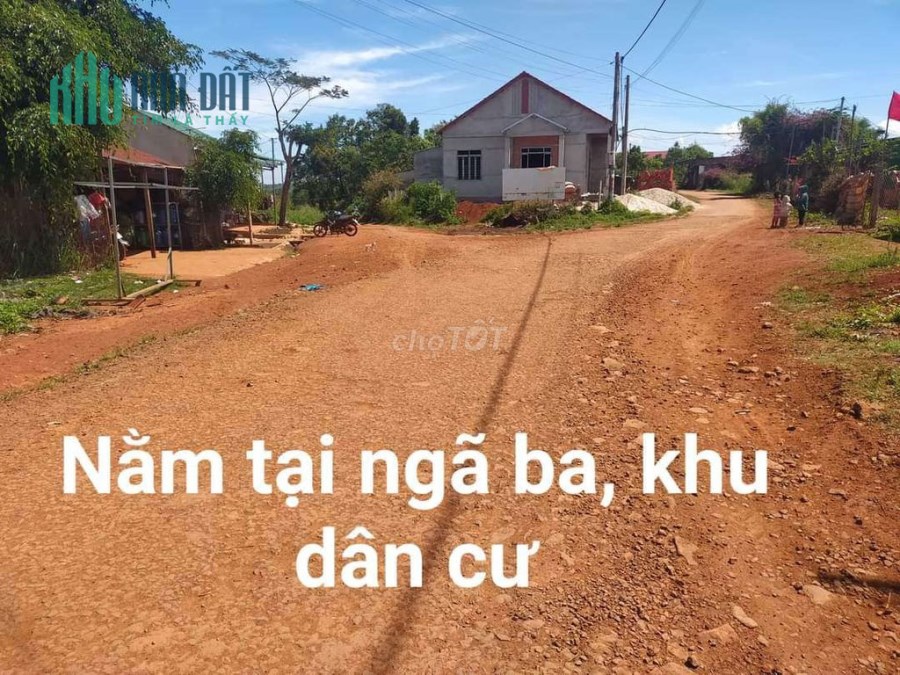CHÍNH CHỦ BÁN 7000M2 ĐẤT MẶT TIỀN ĐƯỜNG NHỰA LIÊN HUYỆN