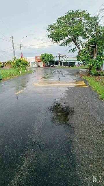CHÍNH CHỦ CẦN BÁN GẤP LÔ ĐẤT ĐEP TẠI XÃ BÌNH TRINH - HUYỆN TÂN TRỤ - TỈNH LONG AN