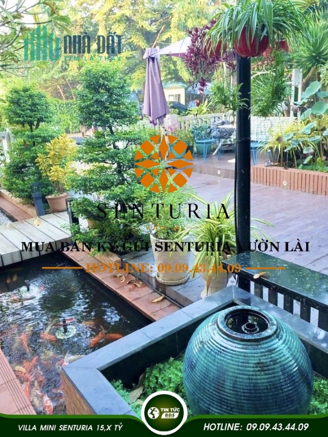 RA NHANH BIỆT THỰ MINI KDC SENTURIA VƯỜN LÀI GIÁ 15,X TỶ - ĐT: 0909434409