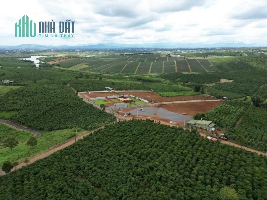 Đất Chính chủ CẦN XOAY TIỀN - BÁN GẤP lô mặt tiền Đoàn Thị Điểm ,gần trung tâm tp Bảo Lộc.