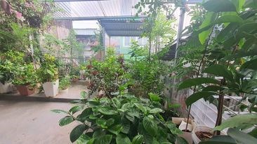 BÁN NHÀ SĐCC TÂN ẤP - BA ĐÌNH, KD ÔTÔ : 46M, 3T, MT: 4.7M, 5.4 TỶ