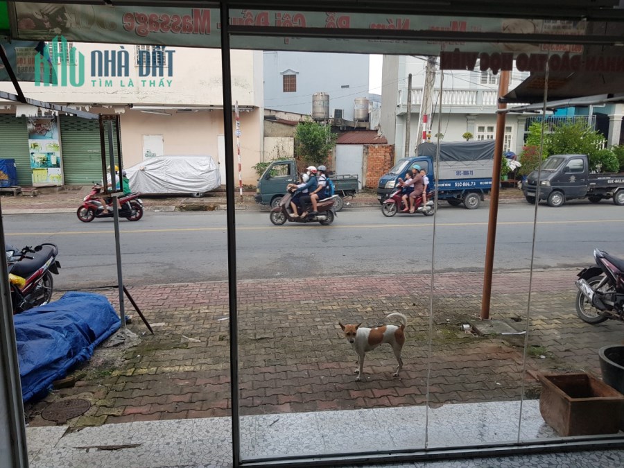 Cho thuê mb nằm ngay mt đường Nguyễn Trung Trực, Dĩ An,Bình Dương