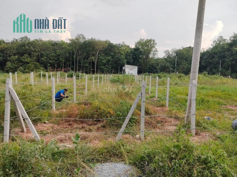 Chính Chủ Cần Bán Gấp Đất Tại Phường Hòa Lợi