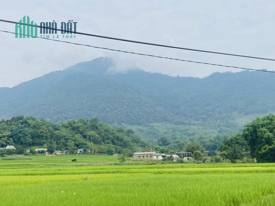 CHỈ 1,5 TỶ LÔ GÓC 2 MẶT TIỀN, VIEW CÁNH ĐỒNG, KẸP GIỮA ĐÃ CÓ HÀNG XÓM HÀ NỘI TẠI ĐÀ BẮC - HÒA BÌNH