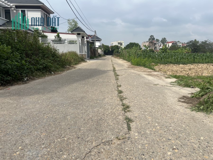 100m full thổ cư , trục chính kinh doanh tại Đông Lai - Quang Tiến . đường rộng 2 oto tránh nhau .