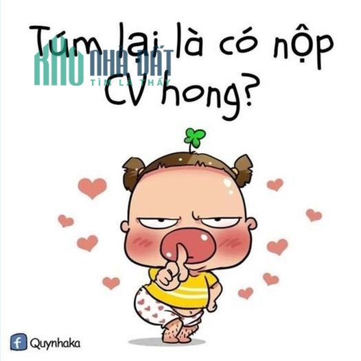 TUYỂN GẤP KẾ TOÁN TỔNG HỢP CHO CHI NHÁNH MỞI CÚA CÔNG TY