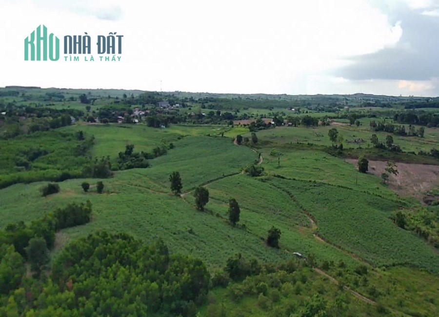 30 HA ĐẤT EA LY, SÔNG HINH, PHÚ YÊN ĐANG TÌM CHỦ MỚI - GIÁ ĐẦU TƯ F0