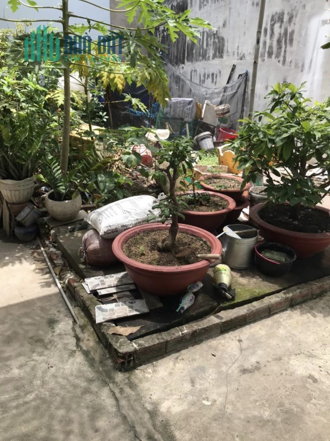 Đất đẹp, nở hậu, Phú Hữu, Tp Thủ Đức giá chỉ 1,6 tỷ
