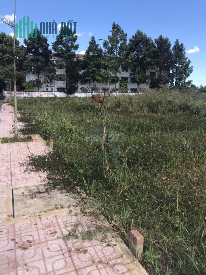 Bán đất ngộp-  sổ hồng riêng tại nhơn trạch đồng nai full thổ cư. Nhỉnh 1 tỷ