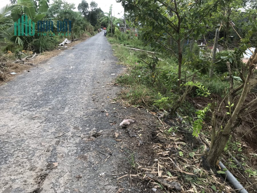 Chính chủ bán đất mặt đường trục chính huyện lộ diện tích 200m2, mặt tiền 8m, full thổ cư.
