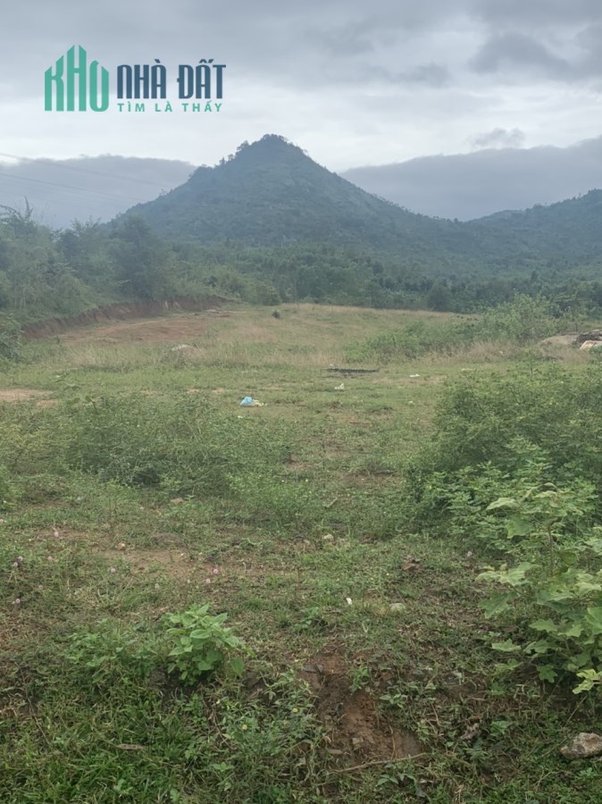 Cần tiền bán nhanh Lô Yang Reh huyện Krong Bông Đaklak.