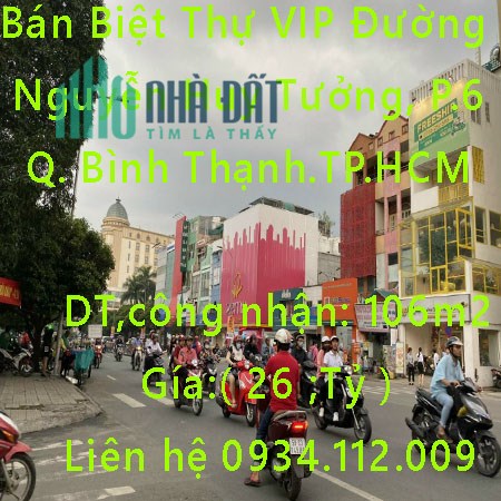 Bán Biệt Thự VIP Đường Nguyễn Huy Tưởng, P.6, Bình Thạnh.TP.HCM