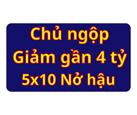 Chủ ngộp Giảm gần 4 Tỷ, 7 Tầng 5x10 Nở Hậu Q10 BTCT, HXH, Sổ hồng cầm tay, chỉ 11,x tỷ