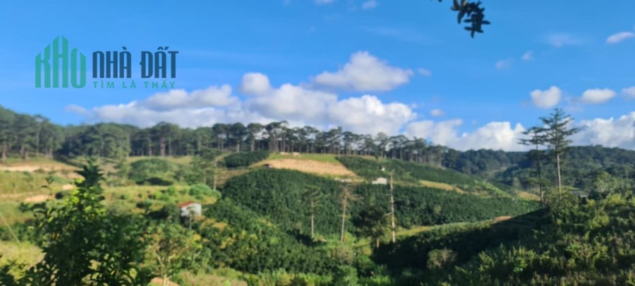 Ngộppppp......Bán gấp đất rộng view đẹp đầu Xuân Thọ, Đà Lạt 1000m2 giá chỉ 1 tỷ