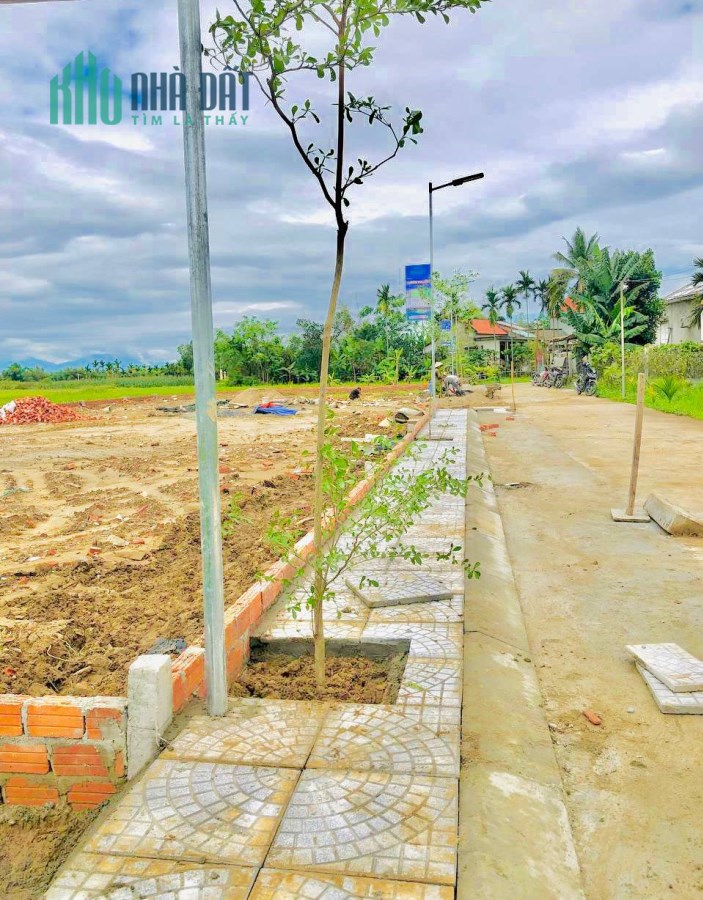 Bán nhanh lô đất 295 m2 Nở Hậu Thăng Bình
