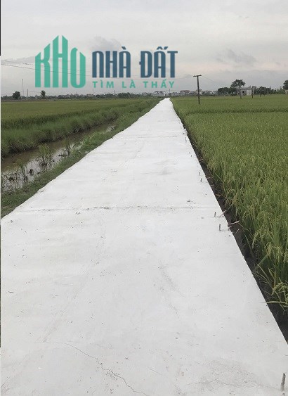 ⭐Cần bán đất vị trí đẹp tại thôn Đông Khánh, xã Thượng Hiền, Kiến Xương, Thái Bình; 0971271333