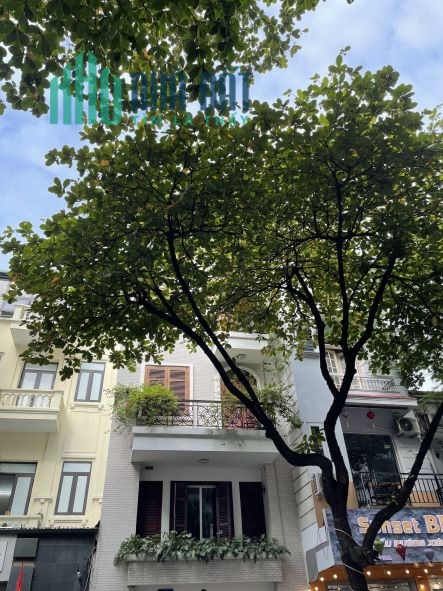 Bán nhà mặt phố Thụy Khuê, Tây Hồ, 155m2, 4 tầng, mặt tiền 6m, ô tô, kd, giá 54 tỷ,