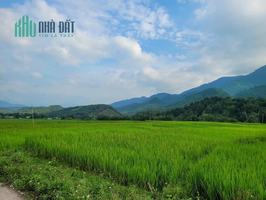 Siêu phẩm nghỉ dưỡng săn mây tại vùng lõi du lịch Mai Châu - Hòa Bình giá chỉ 380 triệu