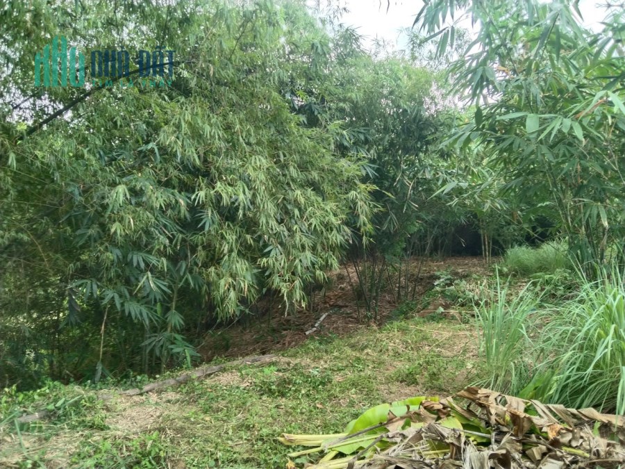 CẦN BÁN 3185M² ĐẤT NỀN SUỐI TÂN, CAM LÂM, KHÁNH HÒA