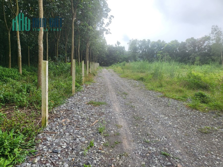 315m2 đất Vĩnh tân cách DT 742 chỉ 500m đường thông , sổ sẵn công chứng ngay