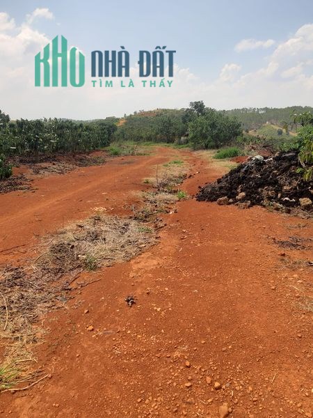 Bán 15800m2 Đất nông nghiệp tại xã Phi Tô - Huyện Lâm Hà - Tỉnh Lâm Đồng.