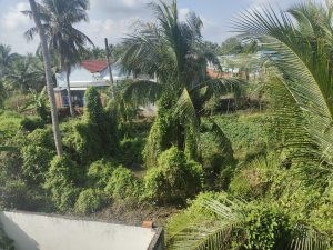 Cần Bán Lô Đất Mặt Tiền Vị Trí Đẹp Tại TP Bến Tre Tỉnh Bến Tre
