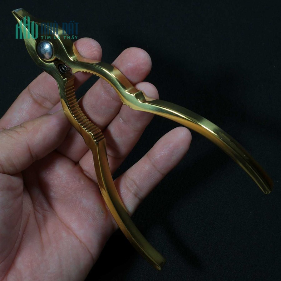Dụng cụ tách sò huyết 1312