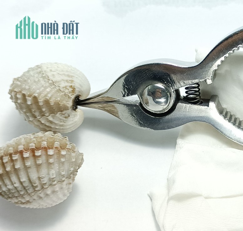 Cách tách sò huyết sống nhanh