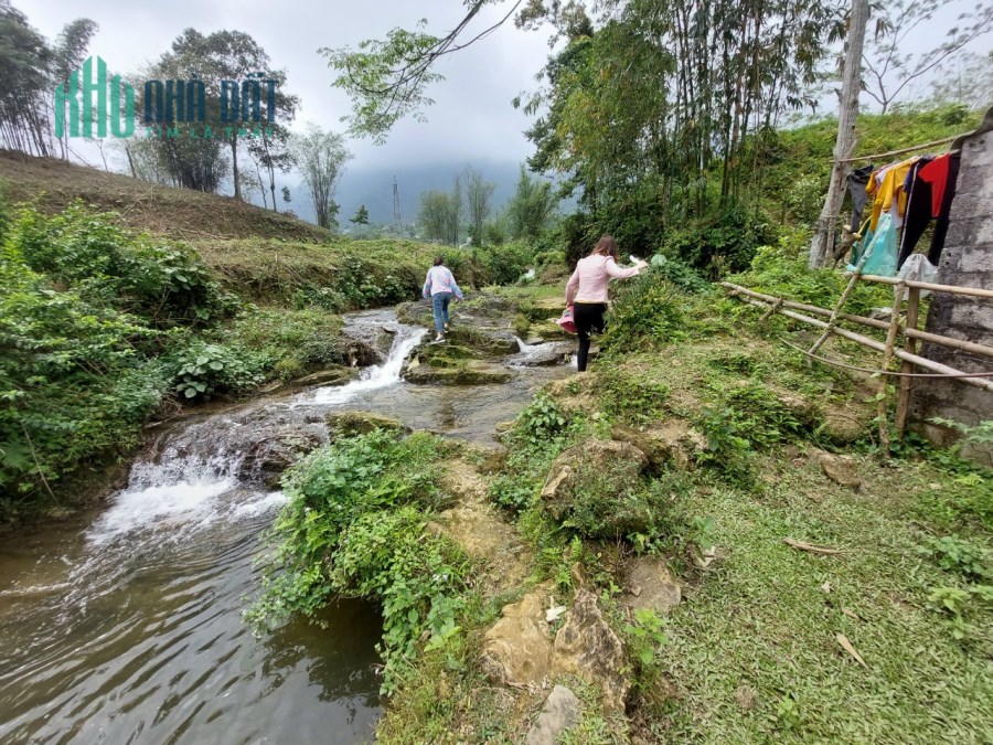 Bán đất Tân Lạc - Hoa Bình 4700m 800tc sưới lớn trong đất ,bao quanh là cánh đồng chỉ vài trăm