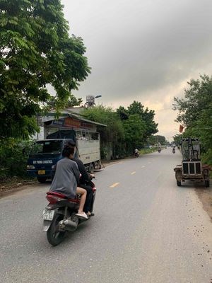 Đất nền trung tâm Cao Ngọc - Ngọc Lặc 260tr 200m2 thổ cư