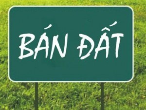 Chính chủ cần bán lô đất Thương Mại Dịch Vụ Tại Đường Đại lộ Hùng Vương – Trung Tâm TP việt Trì –