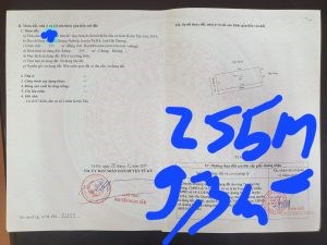 Chính chủ cần thanh khoản lô đất xã Quảng Nghiệp, huyện Tứ Kỳ.