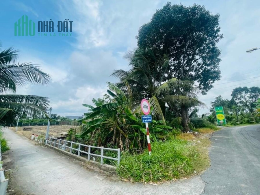 BÁN ĐẤT MỸ PHONG GIÁ RẺ ĐẦU TƯ TẠI MỸ THO