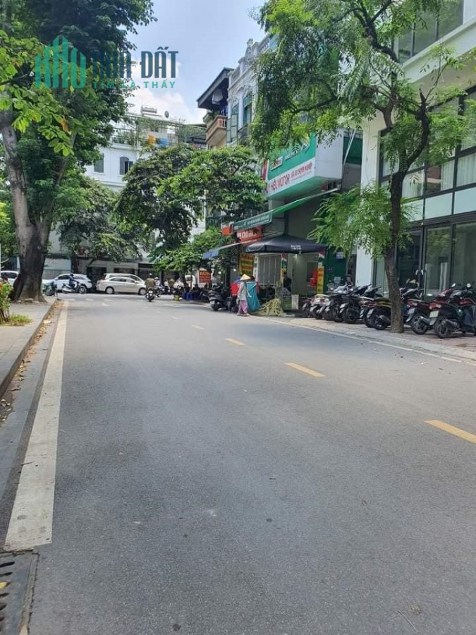 BÁN NHÀ PHỐ TRẦN QUANG DIỆU - PHÂN LÔ - SÁT UBND QUẬN ĐỐNG ĐA - 56M, 5 TẦNG, MT 5.1M - OTO ĐỖ CỬA -
