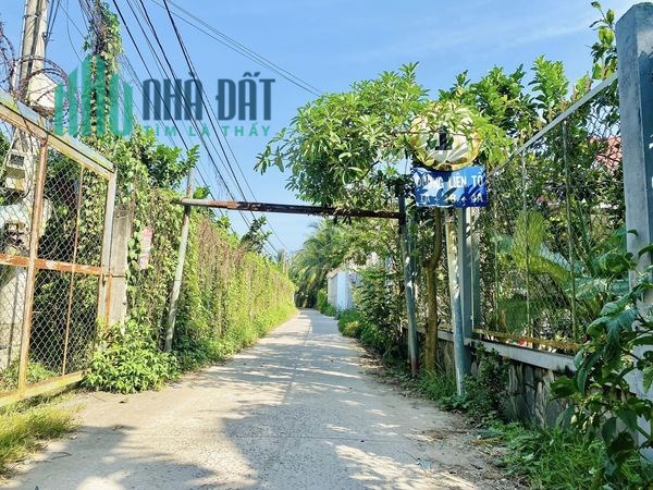 BÁN ĐẤT CÔNG TẠI TP MỸ THO