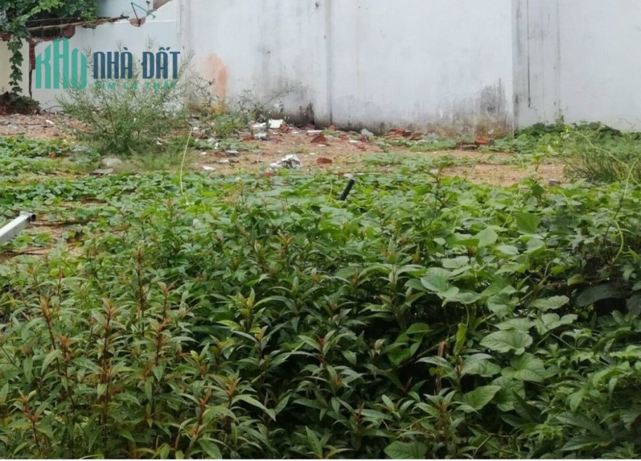 .Đất Trương Chí Cương Hải Châu, Góc kiệt 5.5m, ngang 7.3, 50m ra MT
