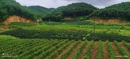 BUÔN BÁN CẢ ĐỜI KHÔNG BẰNG TIỀN LỜI LÔ ĐẤT.CƠ HỘI ĐẦU TƯ CHO CÁC NHÀ ĐẦU TƯ ĐÂY RỒI MUA ĐẤT TẦM NÀY