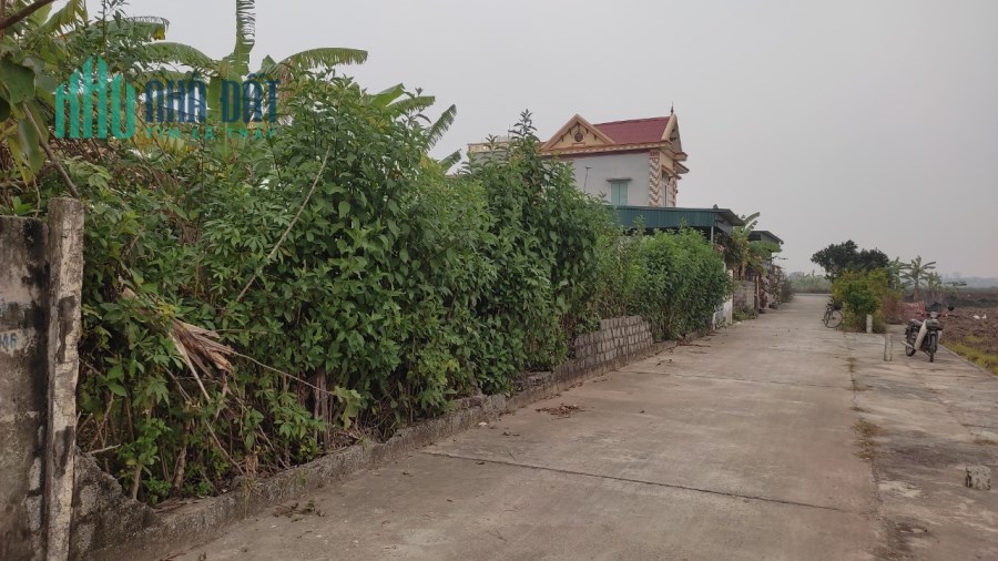 ✅ ✅ CẦN BÁN SIÊU PHẨM ĐẤT TÁI ĐỊNH CƯ CẦU THÁI HÀ - TIẾN ĐỨC - HUYỆN HƯNG HÀ - THÁI BÌNH ĐÔNG -