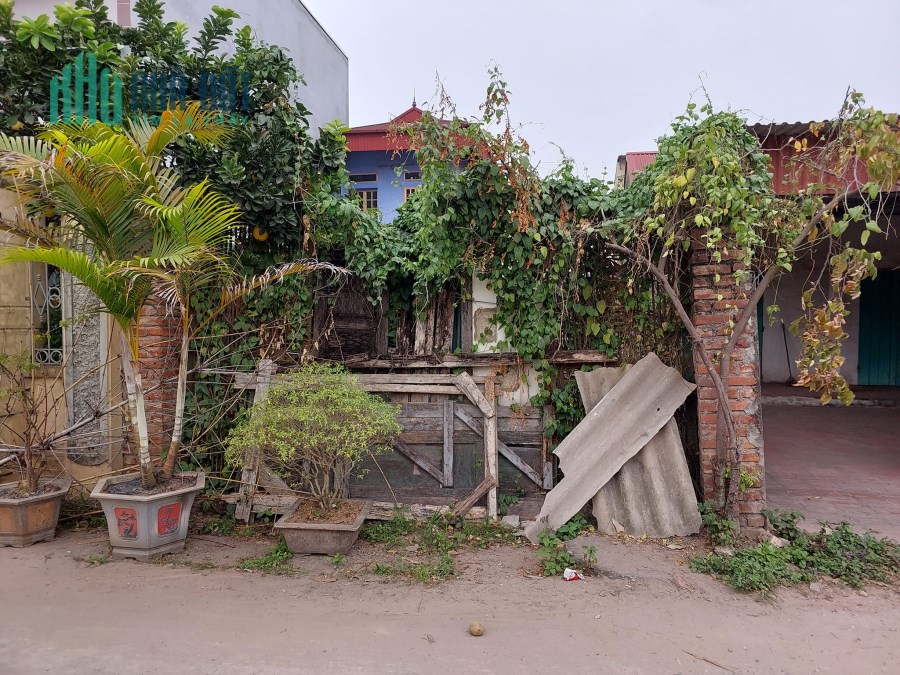 Bán Đất Mai Lâm, 115m2, 5m, 12 tỷ, Đông Anh, ô tô, KD.