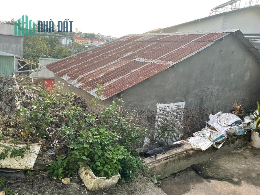 Bán Đất Giá Ngộp Tặng Nhà Hà Huy Tập P3 Đà Lạt