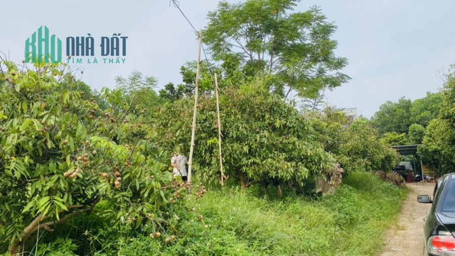 (Cơ Hội) Mua Đất Sào Mẫu Bà Rịa Giá Rẻ 0937471568