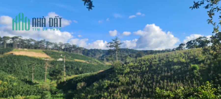 Ngộppppp...... Bán gấp 1000m2 đất rộng view đẹp đầu Xuân Thọ, Đà Lạt giá chỉ 1 tỷ