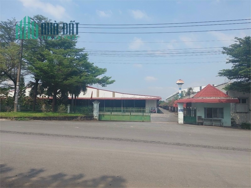 bán đất và xưởng cụm công nghiệp. 20.000m2, phù hợp đầu tư sản xuất